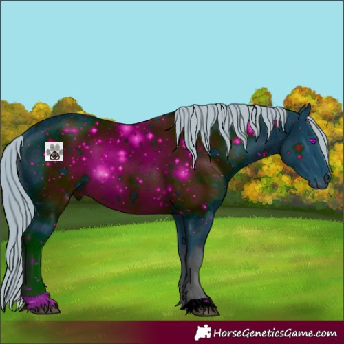 Horse Color:ERROR: UNKNOWN ANOMALY
