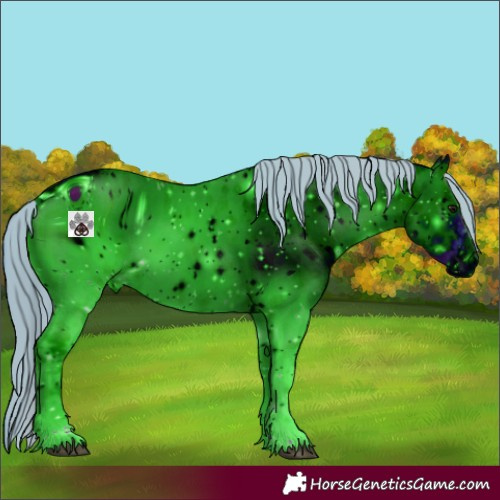 Horse Color:ERROR: UNKNOWN ANOMALY
