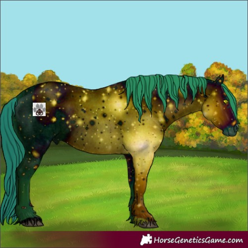 Horse Color:ERROR: UNKNOWN ANOMALY