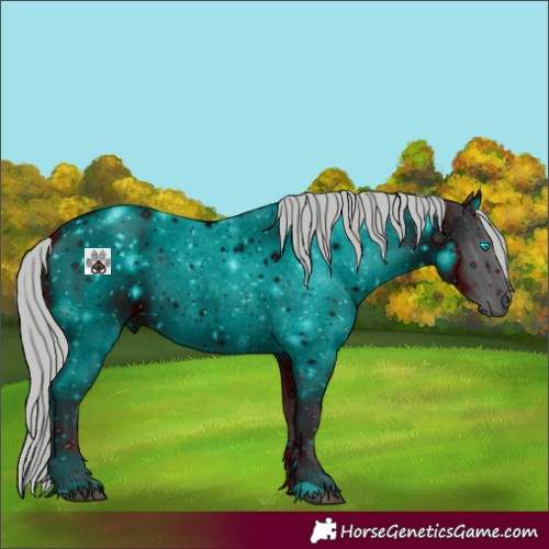 Horse Color:ERROR: UNKNOWN ANOMALY