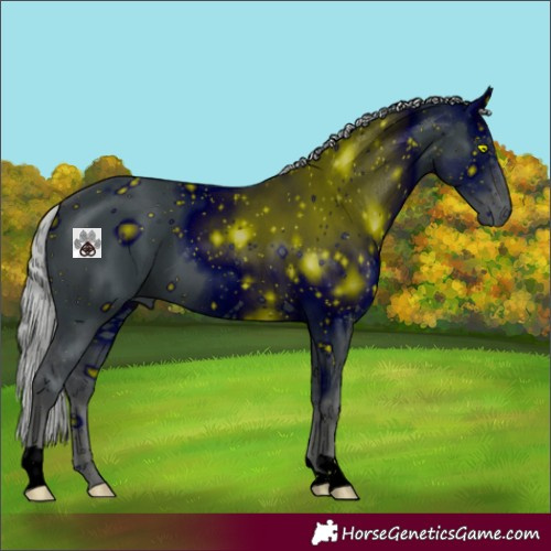 Horse Color:ERROR: UNKNOWN ANOMALY