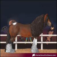Horse Color:Bay Tobiano 