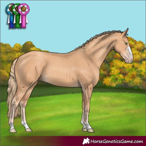 Horse Color:Gold Champagne