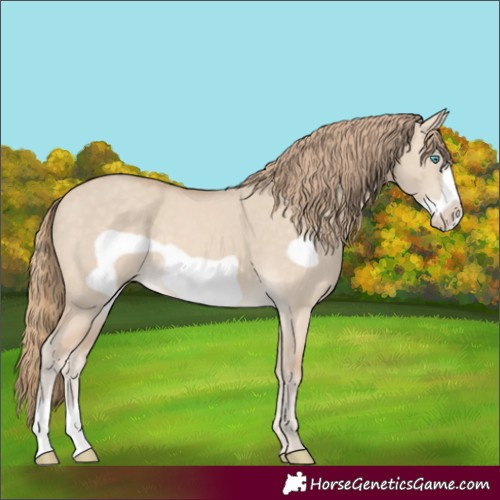 Horse Color:Perlino Dun Frame
