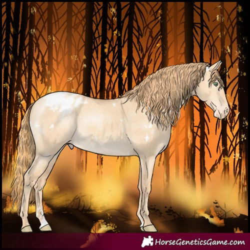 Horse Color:White Spotted Gold Champagne Dun Varnish 