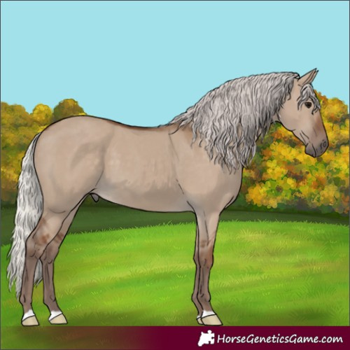 Horse Color:Silver Grullo