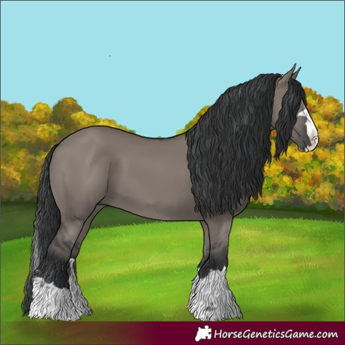 Horse Color:Grullo Splash 