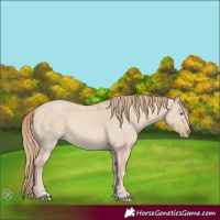 Horse Color:Perlino Dun