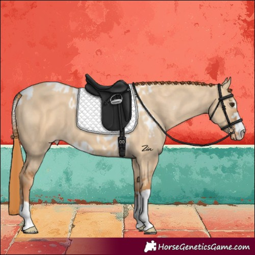 Horse Color:Red Dun Skewed LP Spotted 