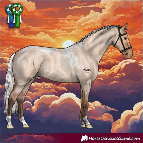 Horse Color:Silver Bay Roan Dun Skewed LP Spotted 