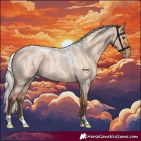 Horse Color:Silver Bay Roan Dun Skewed Appaloosa