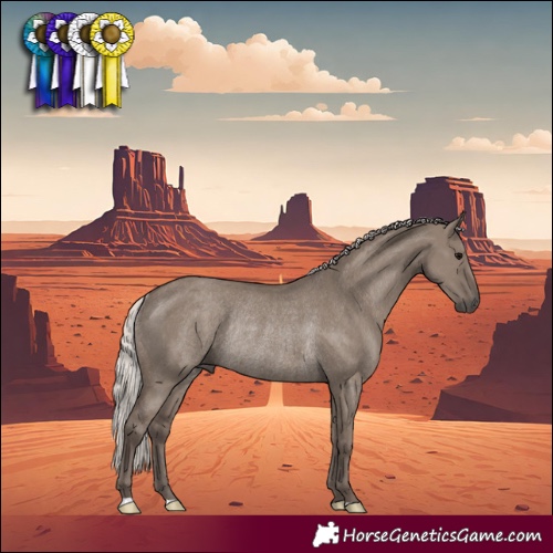Horse Color:Silver Grullo Rabicano