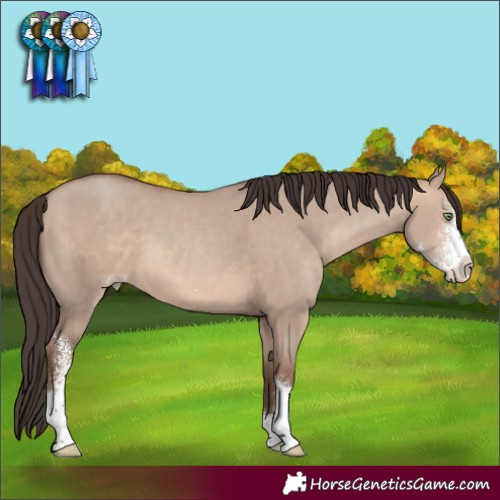 Horse Color:Sable Champagne Dun Sabino