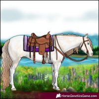 Horse Color:White Spotted Classic Cream Champagne Pearl Dun Tobiano Varnish