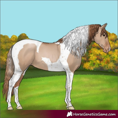 Horse Color:Grullo Pearl Tobiano Varnish