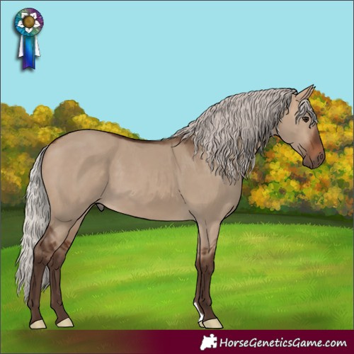 Horse Color:Silver Brown Dun