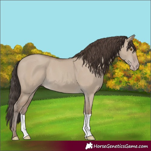 Horse Color:Classic Champagne Dun 