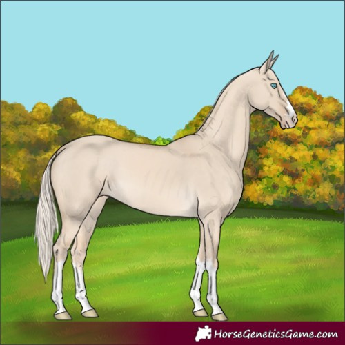 Horse Color:Cremello Dun