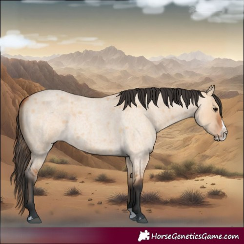 Horse Color:Bay Roan Dun Splash 