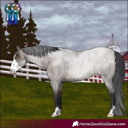 Horse Color:Brown Roan Dun Sabino 
