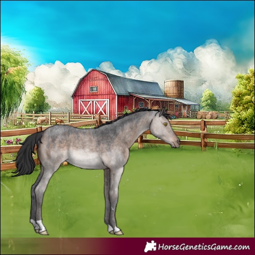 Horse Color:Brown Roan Dun Rabicano 