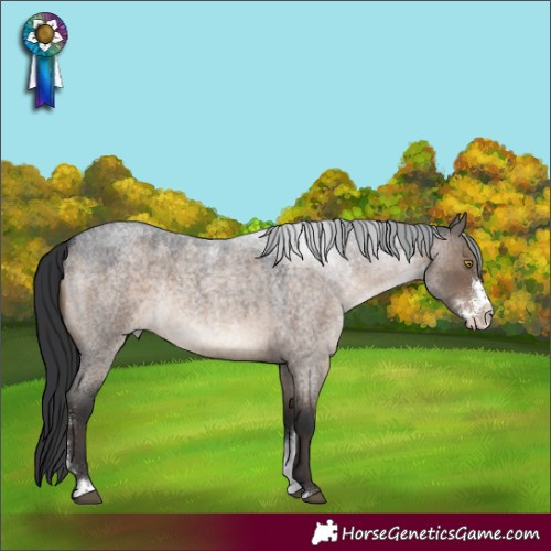 Horse Color:Brown Roan Dun Sabino Rabicano
