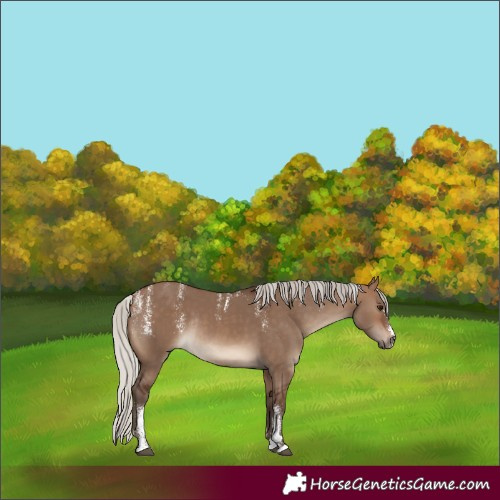 Horse Color:Powder White Silver Brown Dun Rabicano