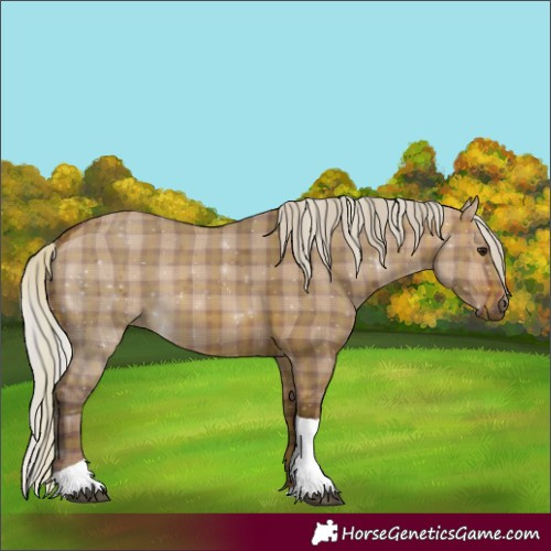 Horse Color:Plaid  Silver Brown Dun Tobiano 