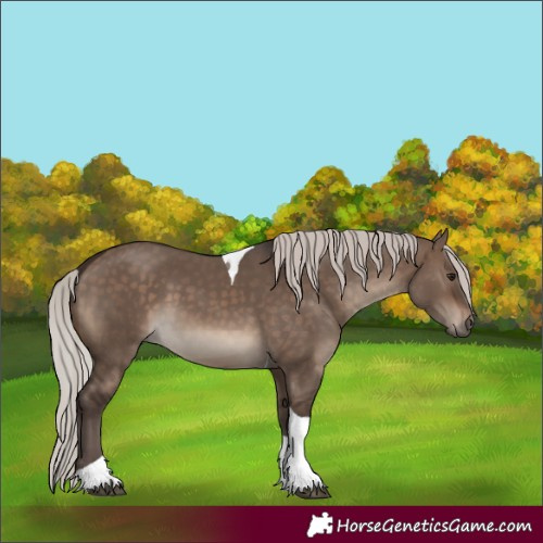 Horse Color:Silver Brown Dun Tobiano 