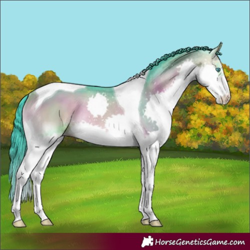 Horse Color:Watercolor Bay Onyx Splash Tobiano Rabicano 
