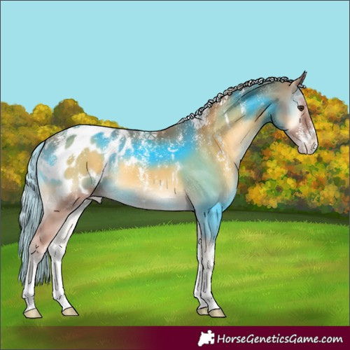 Horse Color:Powder White Palomino Onyx Appaloosa 
