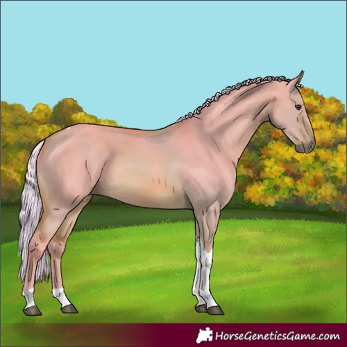 Horse Color:Watercolor Silver Bay Dun Tobiano