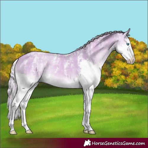 Horse Color:Powder White Watercolor Palomino Onyx Splash
