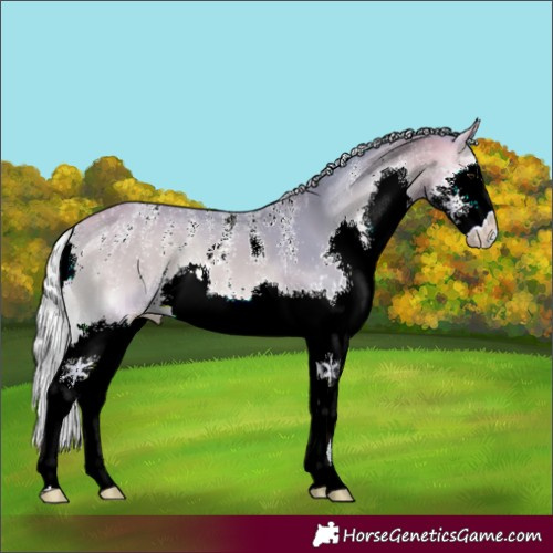 Horse Color:Powder White Watercolor Silver Buckskin Onyx Splash 