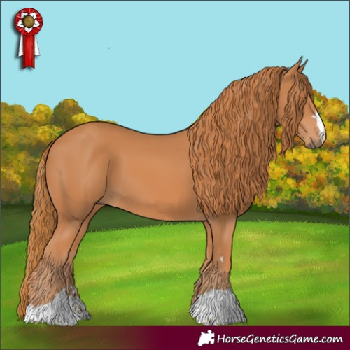 Horse Color:Chestnut 
