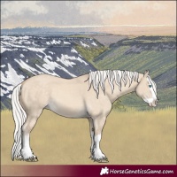 Horse Color:Silver Perlino Dun Splash