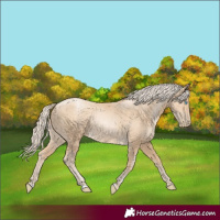 Horse Color:Gold Cream Champagne Pearl