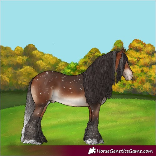 Horse Color:Bay Snowflake Varnish