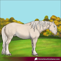Horse Color:Cremello Dun