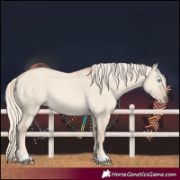 Horse Color:Cremello Dun