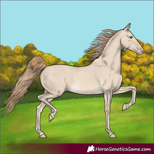 Horse Color:Perlino Dun 