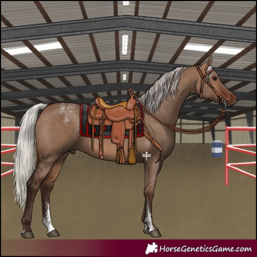 Horse Color:Powder White Silver Brown Dun