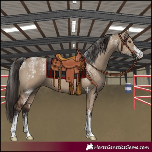 Horse Color:Powder White Liver Red Dun 