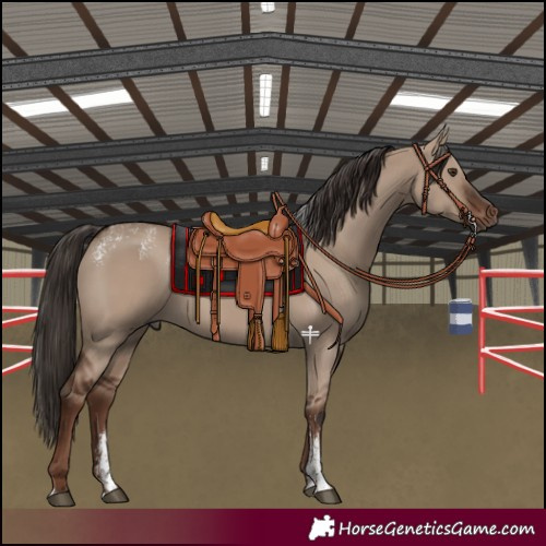 Horse Color:Powder White Liver Red Dun