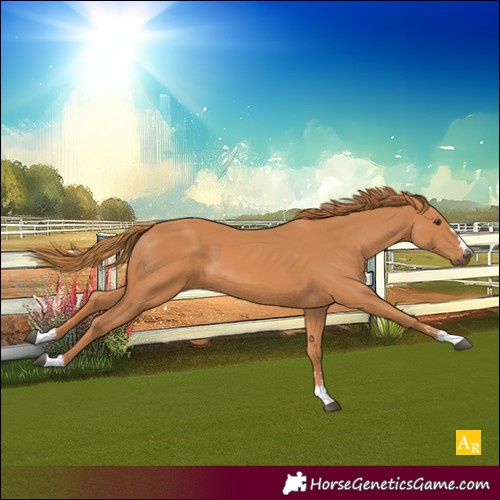 Horse Color:Unknown 