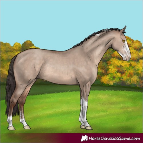 Horse Color:Sable Champagne Dun Sabino Tobiano Rabicano