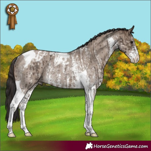 Horse Color:Brown Dun Sabino Tobiano Rabicano and Liver Red Dun Sabino Tobiano Rabicano