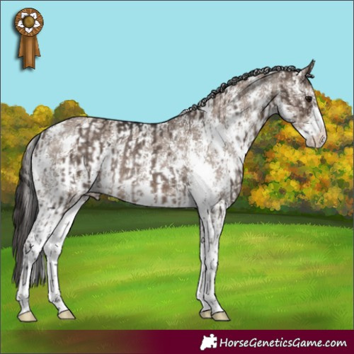 Horse Color:Brown Dun Sabino Rabicano  and Liver Red Dun Sabino Rabicano 