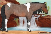 Horse Color:Bay Roan Tobiano