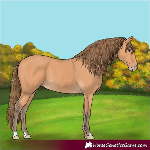 Horse Color:Gray Perlino 